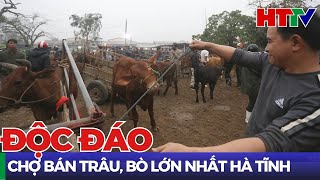 Ngôi chợ buôn bán trâu bò lớn nhất Hà Tĩnh | Hà Tĩnh TV