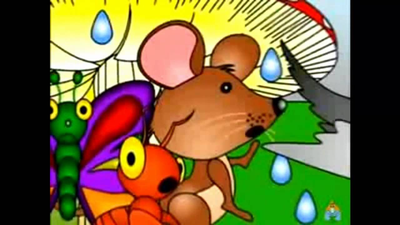 Bajo Una Seta Cuento Infantil Para Educar La Solidaridad - 