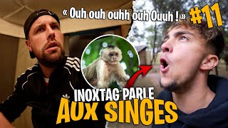 Inoxtag parle aux singes pour les attirer #11