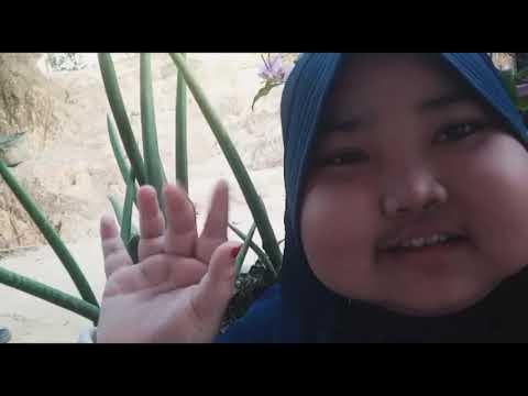 Hidrofit, higrofit dan xerofit 