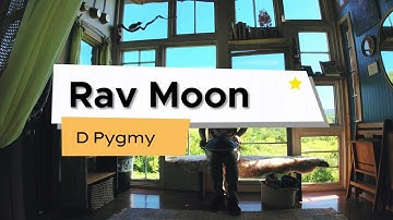 D Pygmy Rav Moon @bellfirecatskills