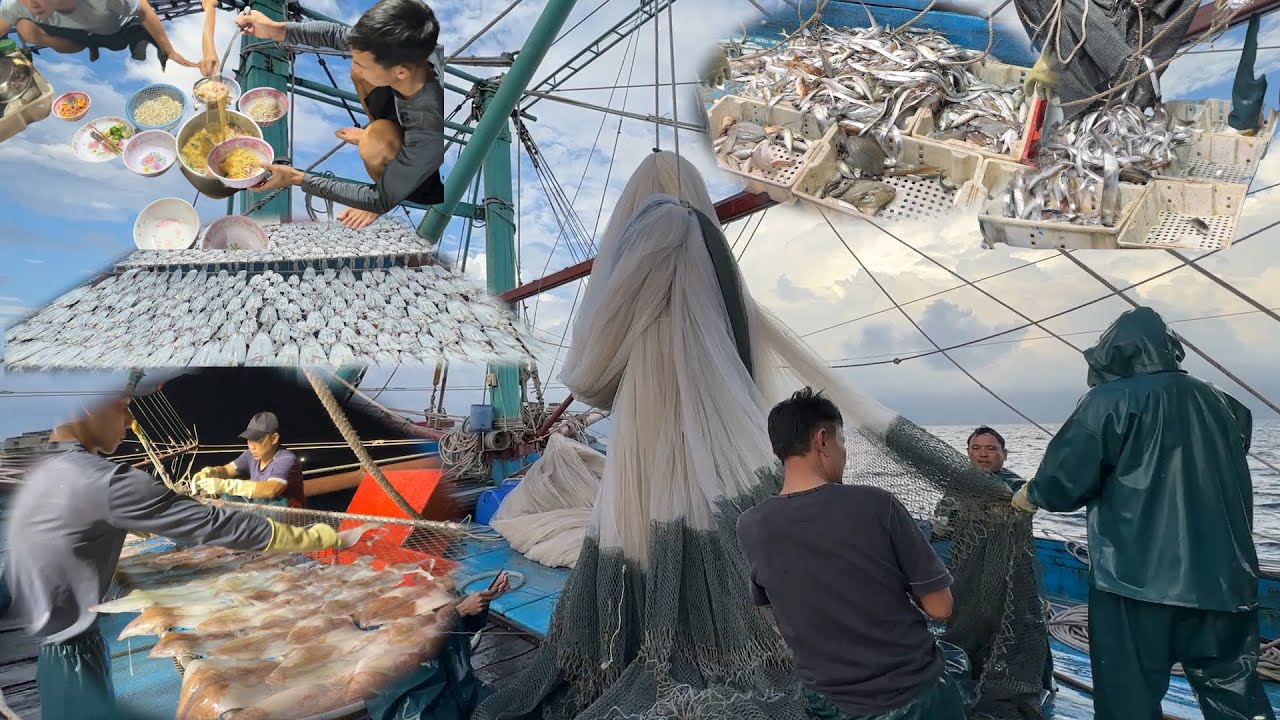 Mành chụp 4 xào a ngọc nghệ an ,thay lưới xưa đánh mực đánh cá ,cho cá con nó lọt lưới - Dân Biển