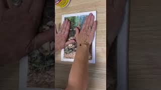 How to Transfer Photos with an Ink Jet Printer / it's easier than you think!