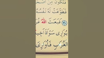 سورة المائدة الأية 28 إلى 31 القارئ سعد الغامدي
