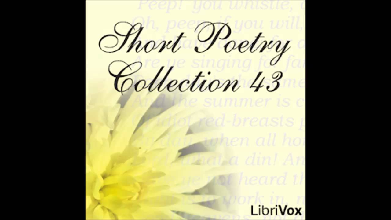 Speechless Thunder(Book Of Poetry 1)