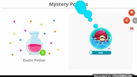 Togoman YT Opening Potions