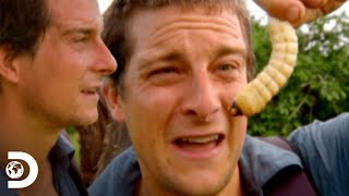 Фото Bear Grylls Come Larvas Africanas En Zambia | A Prueba De Todo | Discovery Latinoamérica