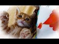 先住猫 VS 子猫　2匹の距離が縮まる　子猫は先住猫が好き！