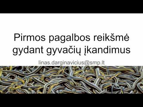 Video: Kaip Sustabdyti Katę Nuo įkandimo