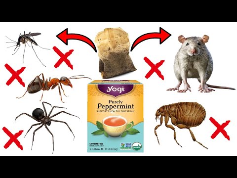 Do Tea Bags Repel Insects