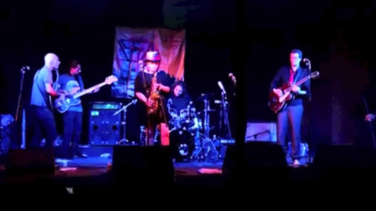 Zebra Plays Saxophone Sax Player for Hire (www.warbleentertainment