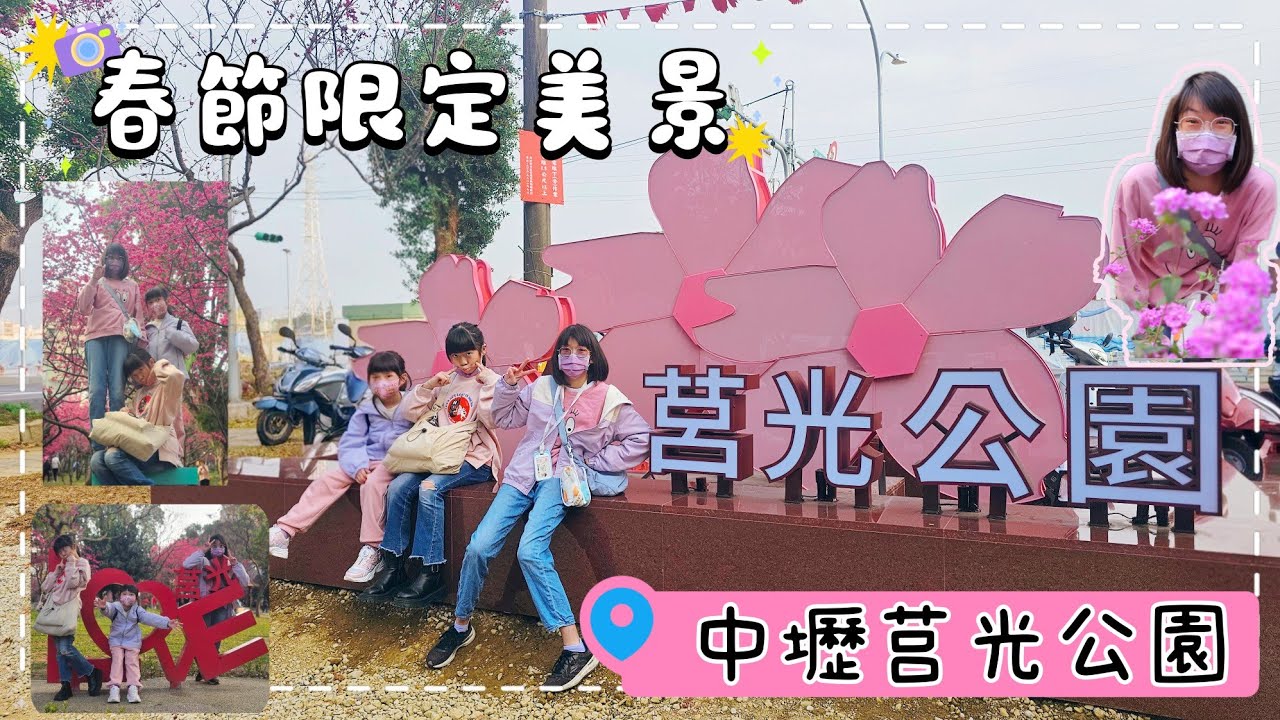 🌸春日限定的小確幸｜中壢莒光公園賞櫻趣🌸