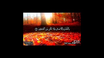 وإذا قرئ القرآن فاستمعوا له وأنصتوا لعلكم ترحمون (تلاوة جميلة)