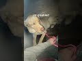 #disability