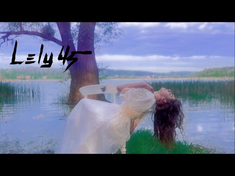 LELY45 - Габарити