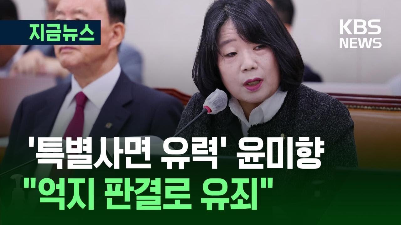 윤미향 사면 관련 뉴스