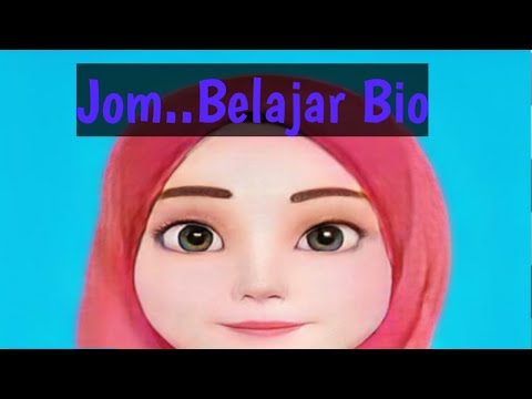 Video: Bolehkah Bibir 