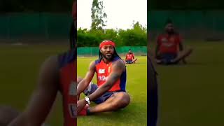 cricketshokin | cricket short video | cricket short video song | cricket short video status song 😃😀😃