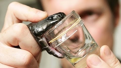 Tác dụng của nọc độc rắn với máu người