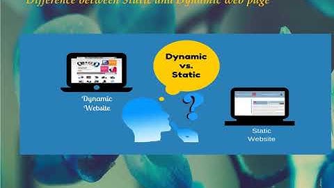 Static & Dynamic Web pages