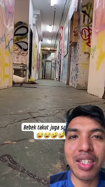 BEBEK TAKUT MATI LAMPU NGAKAK #shorts