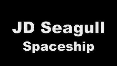 JD Seagull - Spaceship