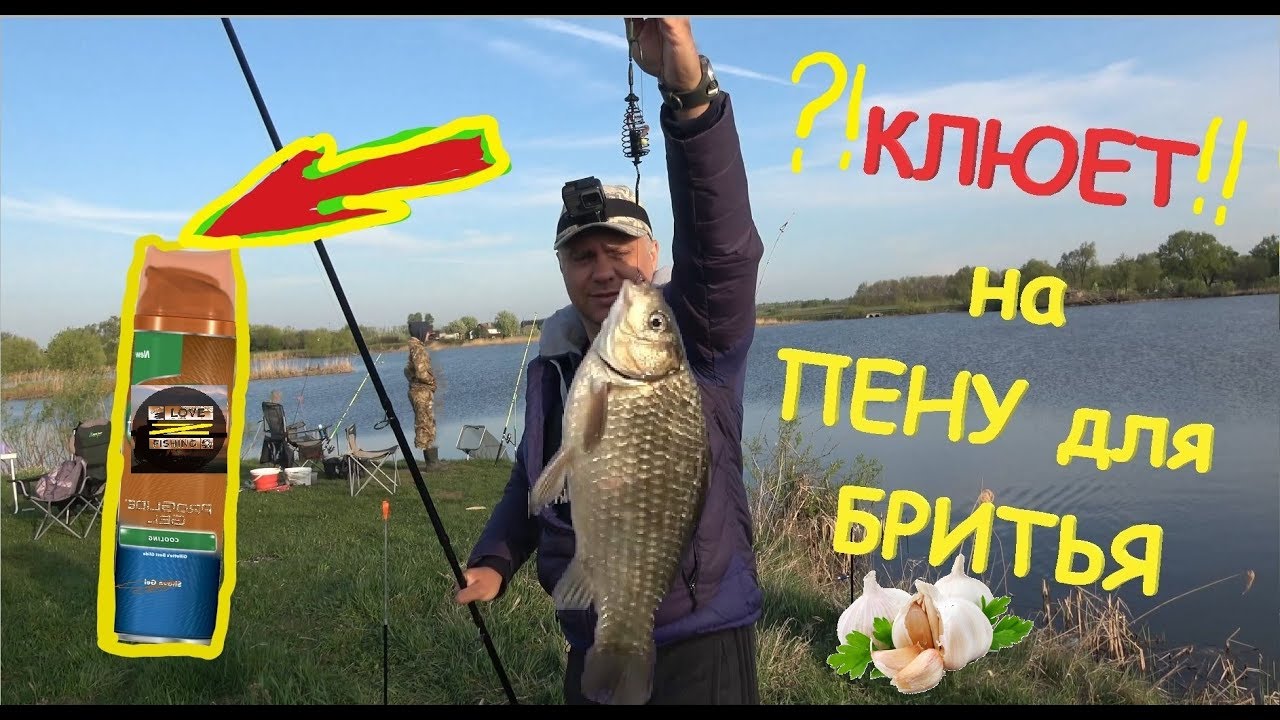 Клев в липецкой. Ловля карася на пуфы видео.