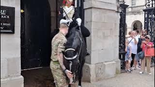 The horse loved a wet rub down shows the soldier appreciation ❤️ #thekingsguard