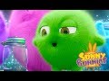 Videos For Kids | Sunny Bunnies SUNNY BUNNIES FIREFLIES | Funny Videos For Kids