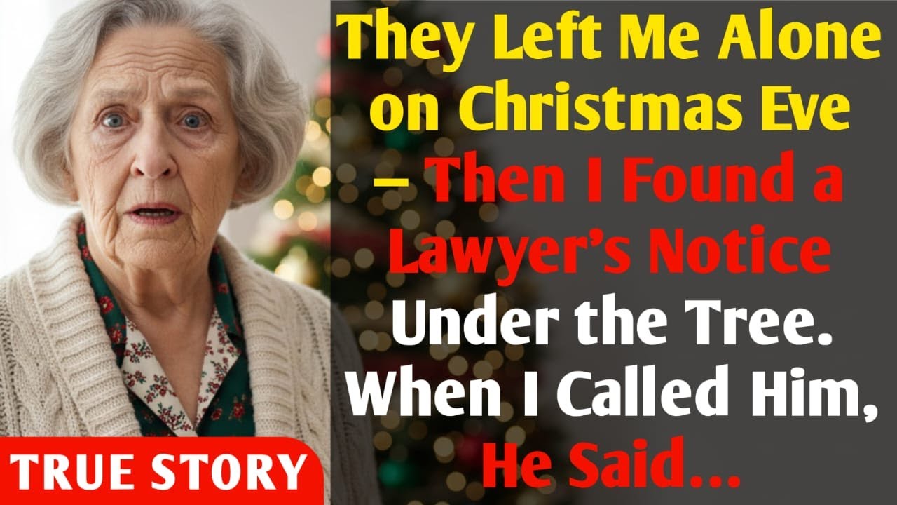 They Left Me Alone on Christmas Eve — Then I Found a Lawyer’s Notice Under the Tree. He Said…