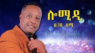 Tsegaye Seme - Lomidi - ፀጋዬ ስሜ - ሎሚዲ - New Ethiopian 2024