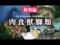 【睡眠用・ゆっくり解説】肉食獣脚類　総集編【広告最初のみ　途中広告なし】