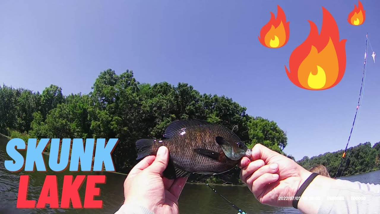 THIS is why you fish during a heat wave!! The action is ON! Steve and Christian beat SKUNK LAKE!!
