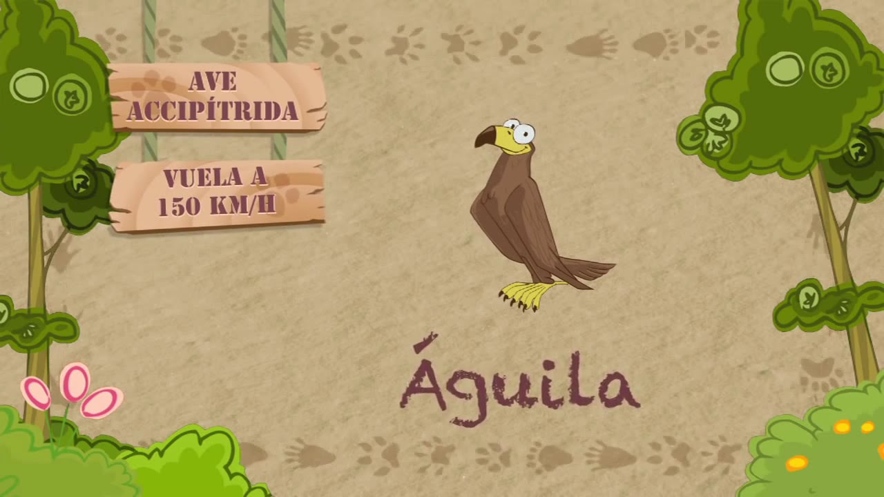 Las características del ÁGUILA - YouTube