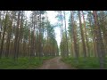 Suomi 20180706 - Koli - beach near Hakinniemet