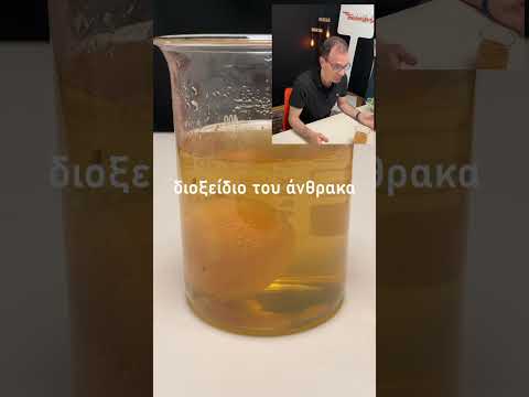 Ένα κύτταρο (το