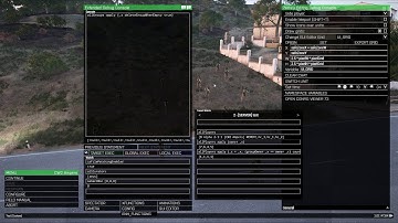 Zeus Enhanced - Deep Paste Spawn On Headless Client