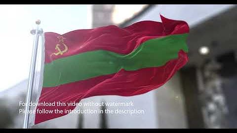 Transnistria flag with 3d effect blowing in the wind 3D Flag V2 long