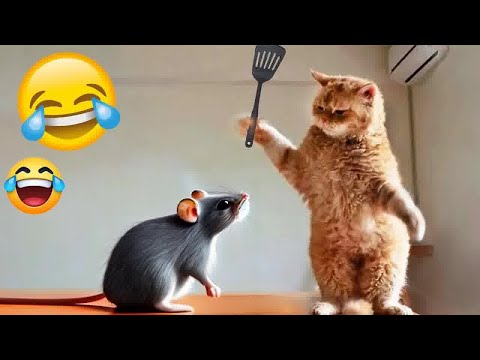видео: YOU LAUGH YOU LOSE🤣Best Funny Animals Video 2024😻🐶#1