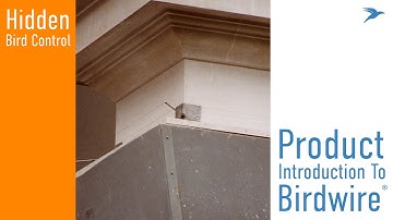 Birdwire Introduction