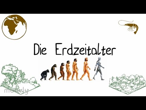 DIE ERDZEITALTER ERKLÄRT! BIOLOGIE