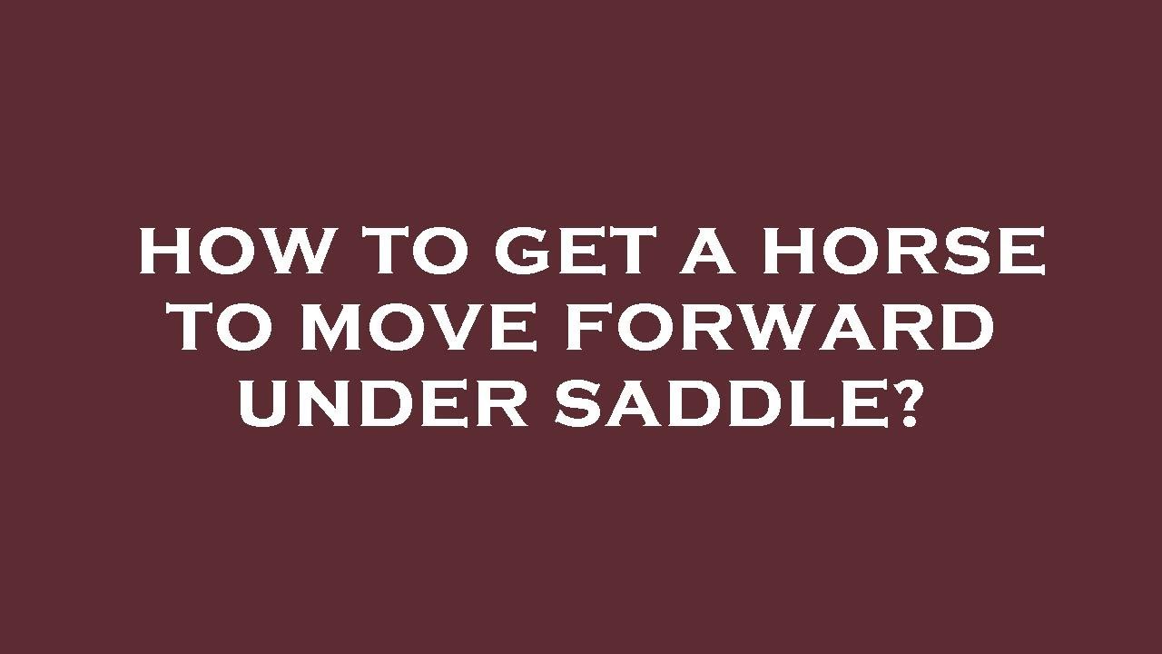 How to get a horse to move forward under saddle? YouTube