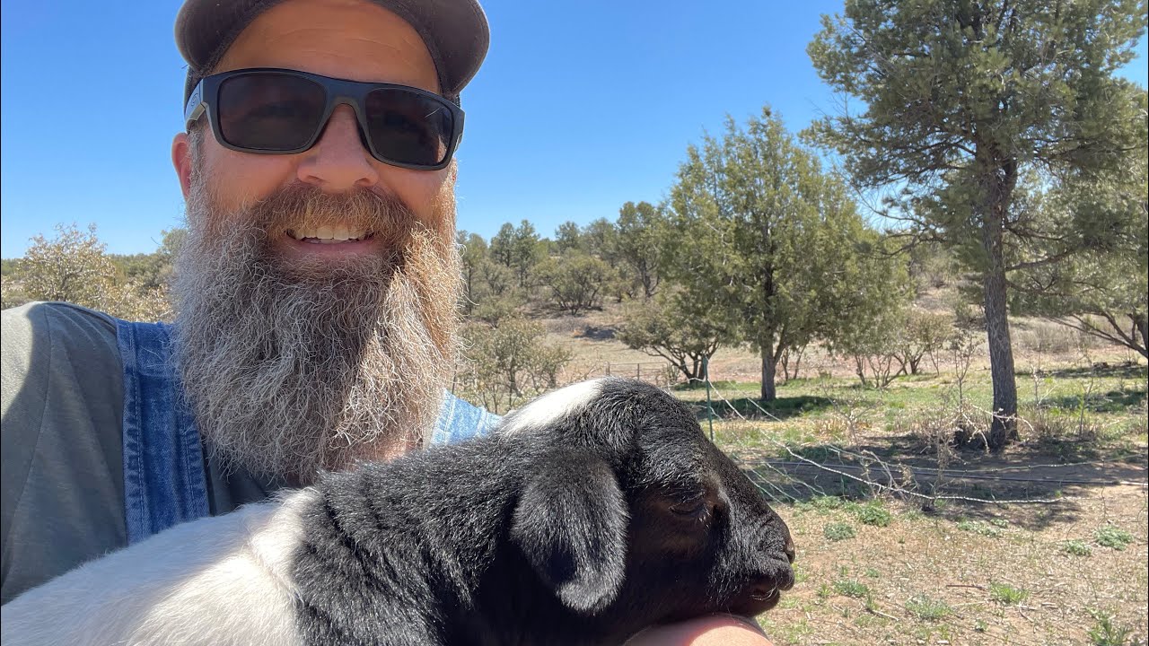 Homestead Essentials: AMP, MIG, Regenerative