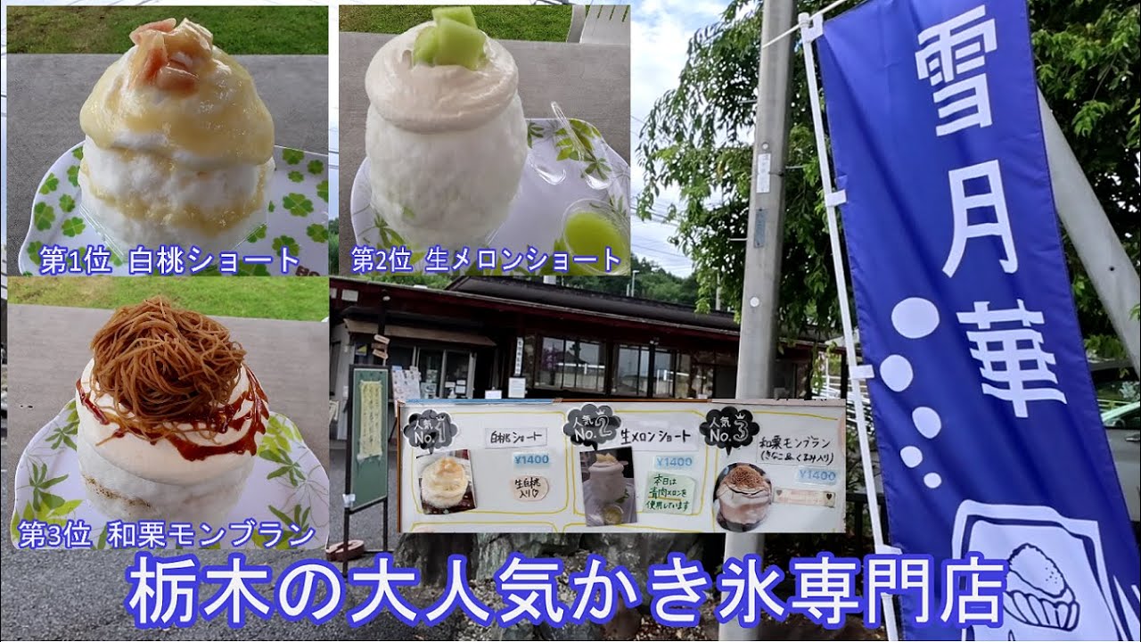 【グルメ女子】栃木の大人気かき氷店「雪月華」で人気メニューBEST3を食べたら幸せになれた！【かき氷】【モッパン】