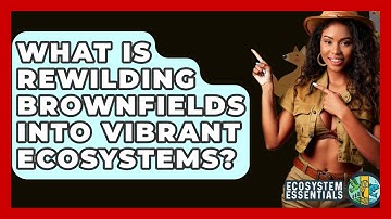 What Is Rewilding Brownfields Into Vibrant Ecosystems? - Ecosystem Essentials
