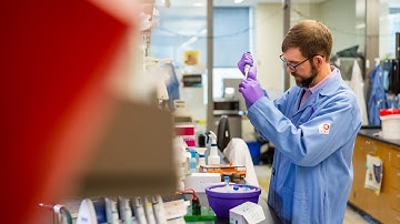 Synthetic Biology at Northwestern: Developing Cell-free Biology Systems