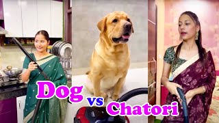 Dog Vs Chatori Funny Comedy Video Mona Sona Remix