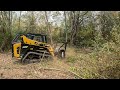 Forestry mulching and land clearing with the NEW ASV VT 100