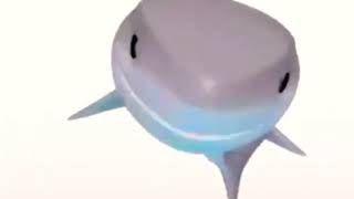 Shark