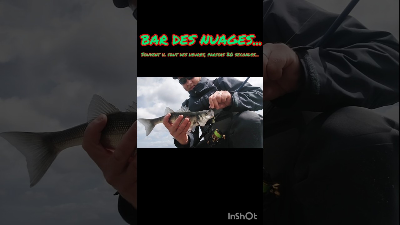 PECHE au BAR...des nuages au Super Spindle MEGABASS